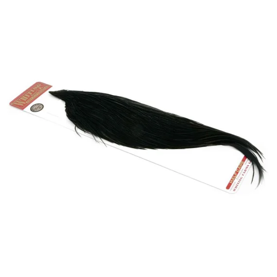 sportfishtackle202606032345172554133