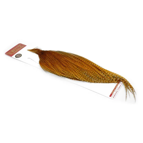 sportfishtackle202606032345172554137