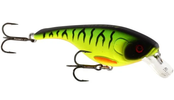 sportfishtackle202606040011542561421