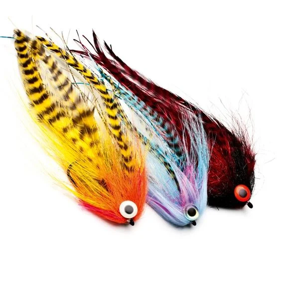 sportfishtackle202606040012262561575