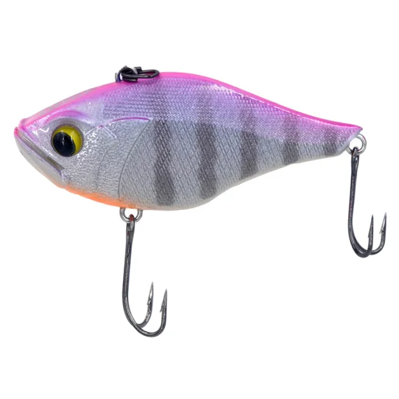 sportfishtackle202606040021582564243