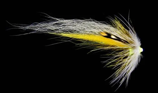 sportfishtackle202606040025112565086