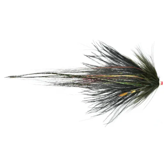 sportfishtackle202606040025532565267