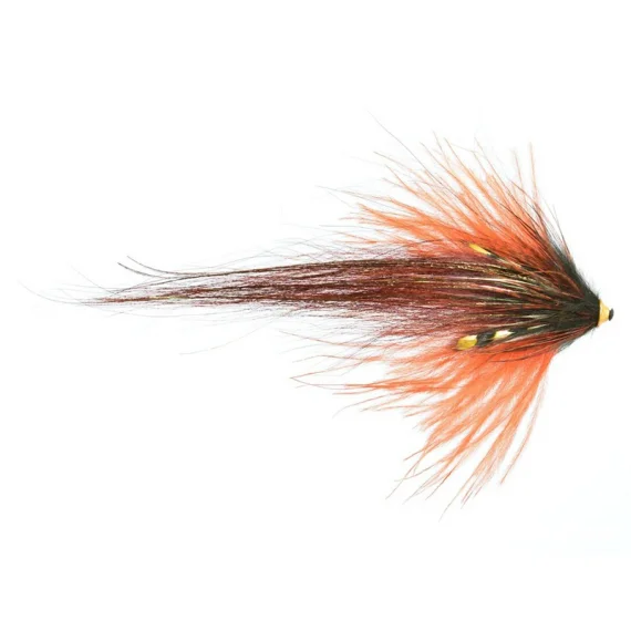 sportfishtackle202606040029082566066