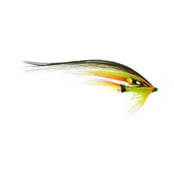 sportfishtackle202606040041112569083