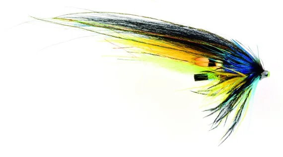 sportfishtackle202606040054362572491