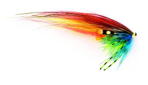 sportfishtackle202606040054582572582