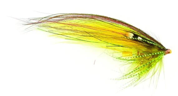sportfishtackle202606040055012572594