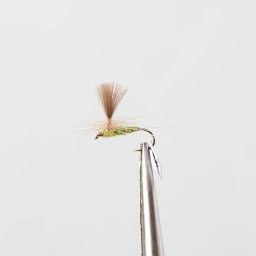 sportfishtackle202606040058592573559