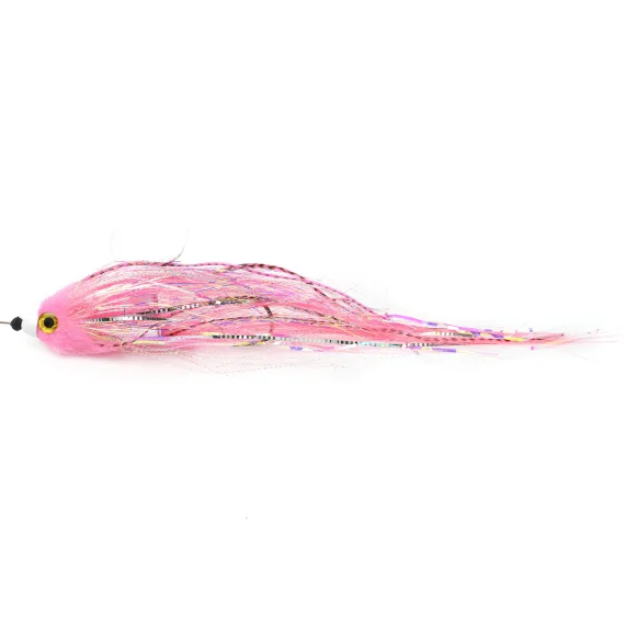 sportfishtackle202606040100082573848
