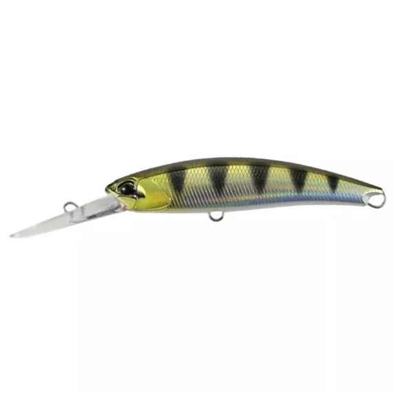 sportfishtackle202606040101282574156