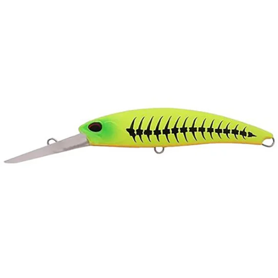 sportfishtackle202606040101362574184