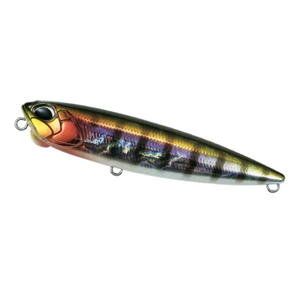 sportfishtackle202606040101432574212