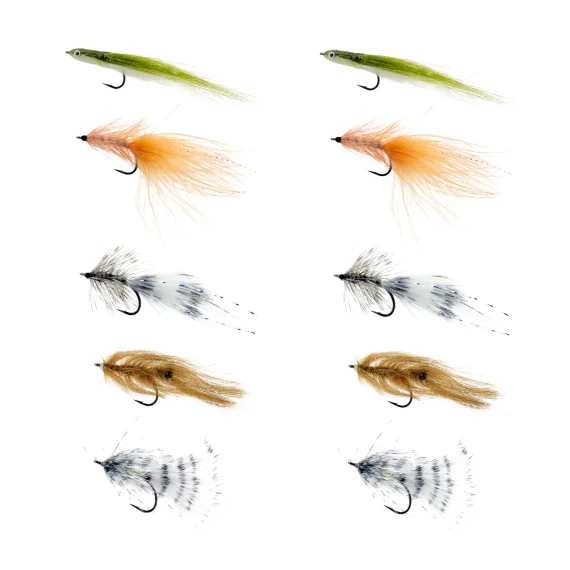 sportfishtackle202606040117232578004