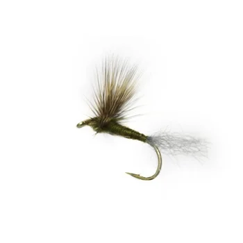 sportfishtackle202606040120202578666