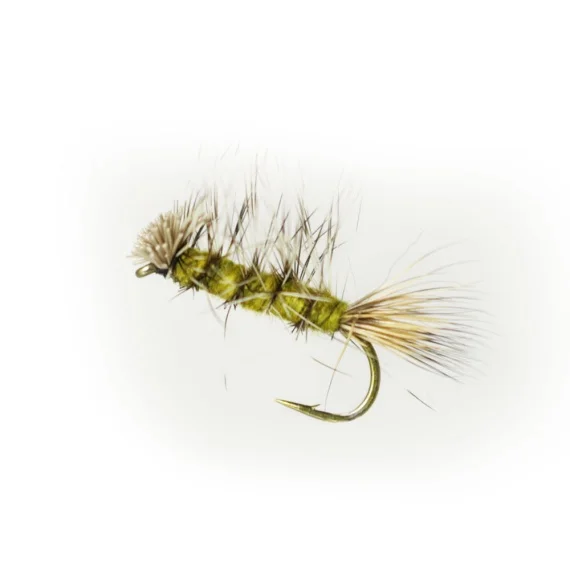 sportfishtackle202606040120462578774