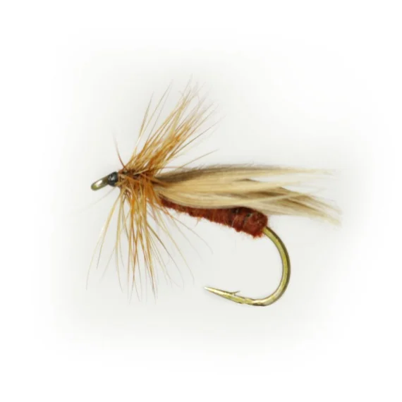 sportfishtackle202606040121172578899