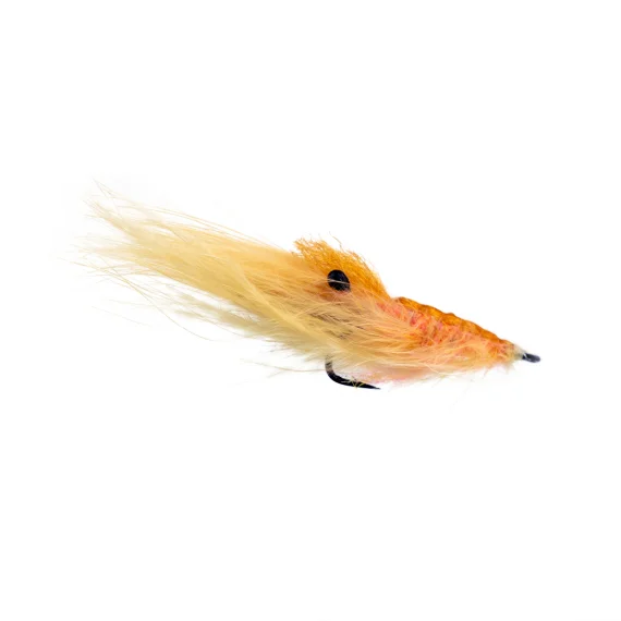 sportfishtackle202606040121322578956
