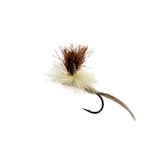 sportfishtackle202606040122202579152