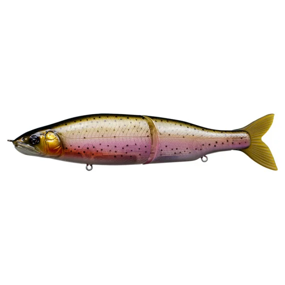 sportfishtackle202606040126492580265