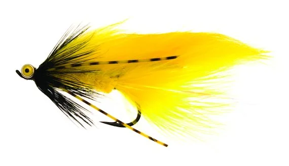 sportfishtackle202606040134362582292