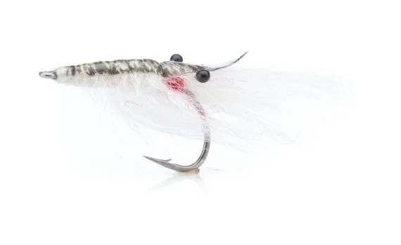 sportfishtackle202606040134432582325