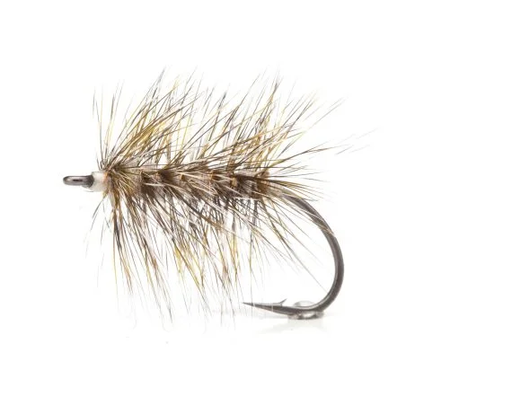 sportfishtackle202606040134592582395
