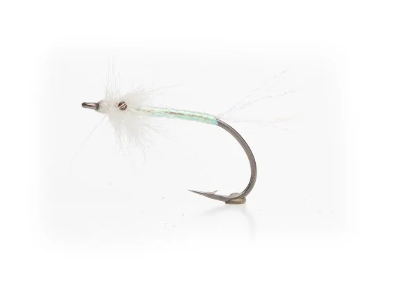 sportfishtackle202606040135022582412
