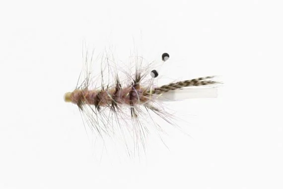 sportfishtackle202606040135102582445