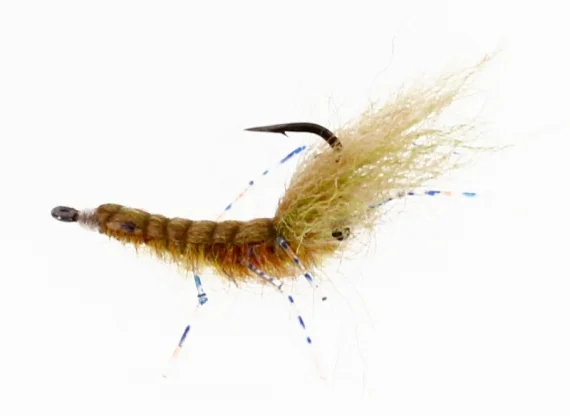 sportfishtackle202606040135142582464