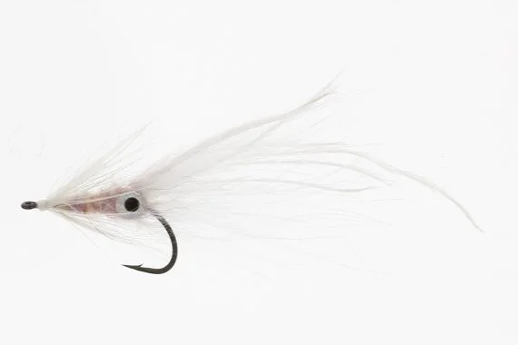 sportfishtackle202606040135182582480