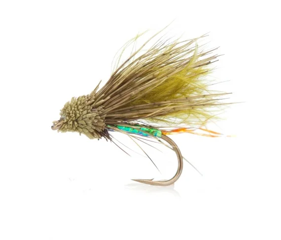 sportfishtackle202606040135262582512