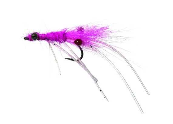 sportfishtackle202606040135422582584