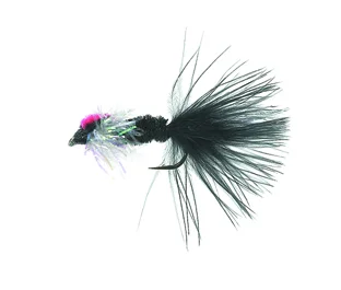 sportfishtackle202606040135492582615