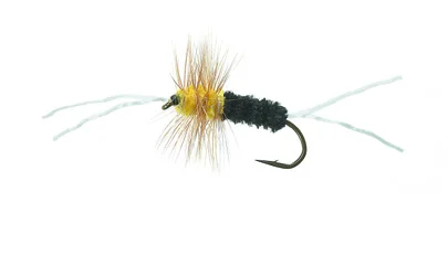 sportfishtackle202606040136072582699
