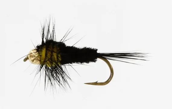 sportfishtackle202606040136112582715