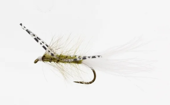 sportfishtackle202606040136262582780