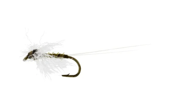 sportfishtackle202606040137032582938