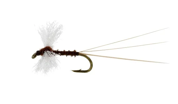 sportfishtackle202606040137062582957