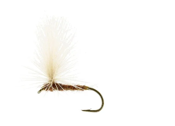 sportfishtackle202606040137152582988