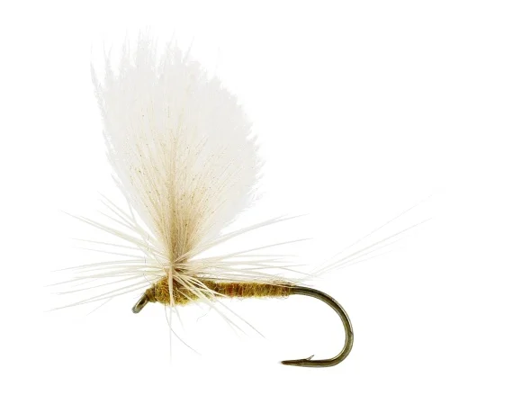 sportfishtackle202606040137172583003