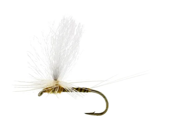 sportfishtackle202606040137222583024
