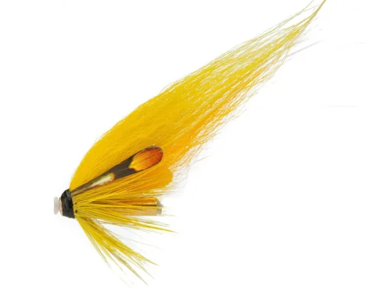 sportfishtackle202606040137522583152