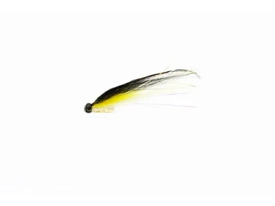 sportfishtackle202606040138102583234