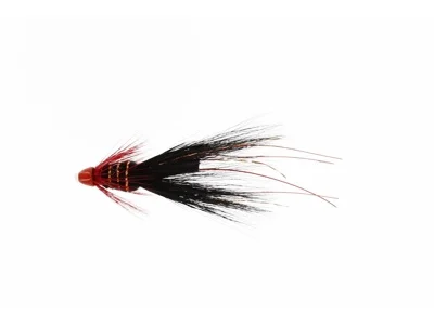sportfishtackle202606040138222583283