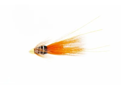 sportfishtackle202606040138262583297