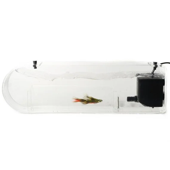 sportfishtackle202606040141562584206
