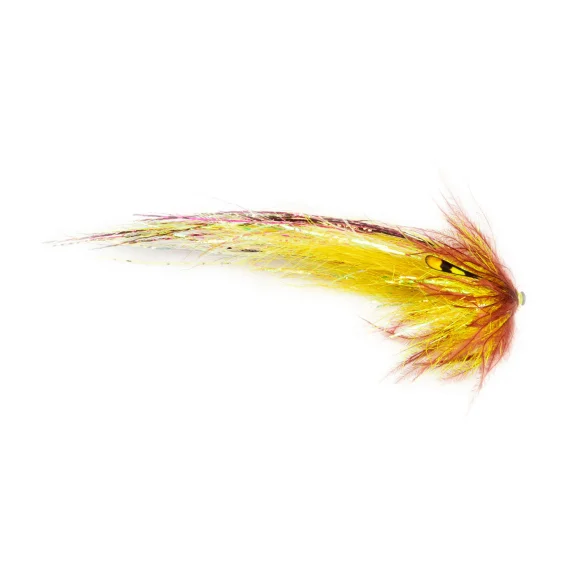 sportfishtackle202606040144222584780
