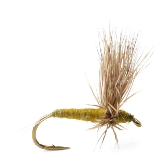 sportfishtackle202606040150332586318