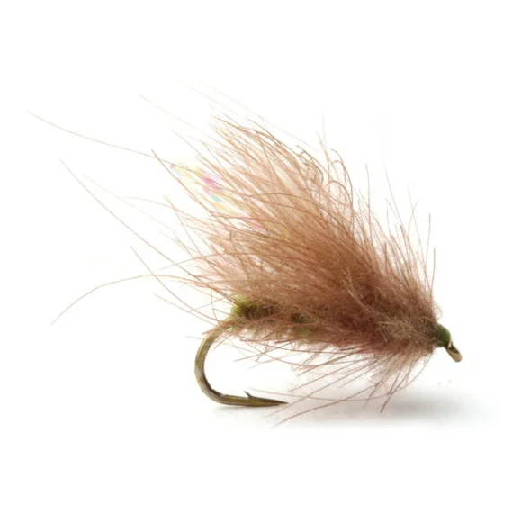 sportfishtackle202606040150582586426